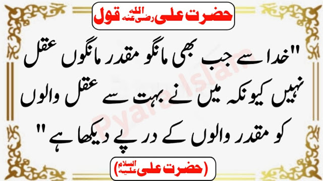 Imam Ali Quotes In Urdu Text