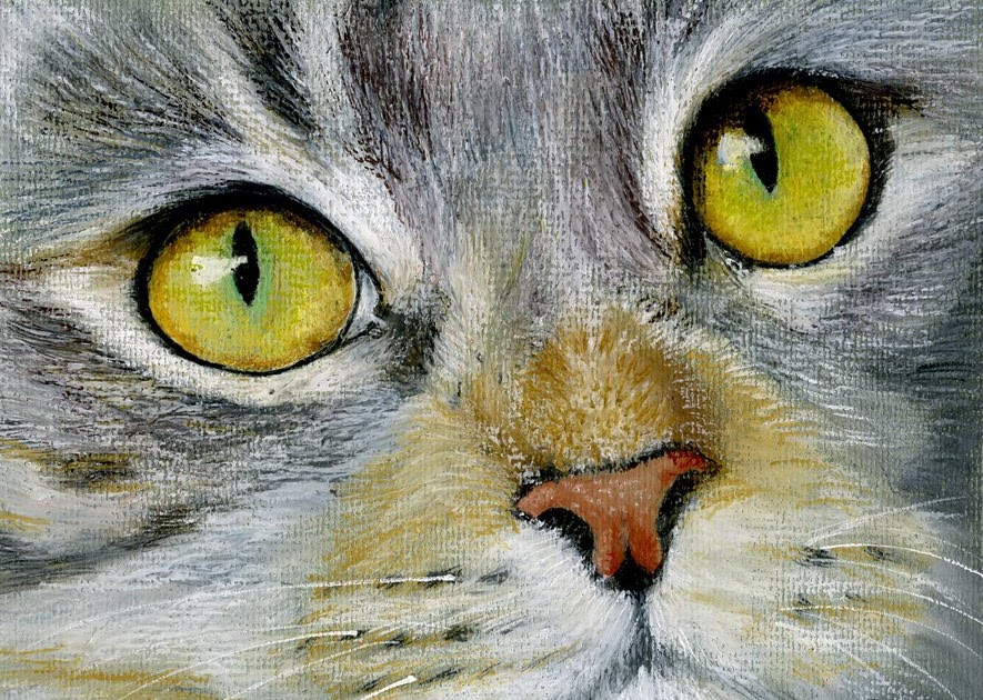 FUR IN THE PAINT Silver Tabby Cat in Oil Pastel 2
