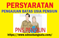 Persyaratan Pengajuan Batas Usia Pensiun (BUP)