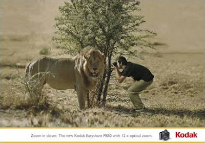 kodak lion camara More AdWords