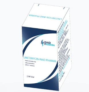 LINCOMYCIN INAD PHARMA