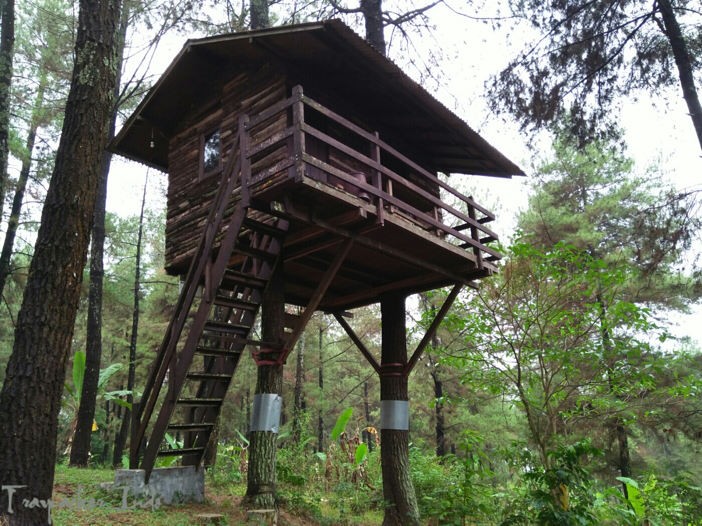 Rumah Pohon  Taman Dayu