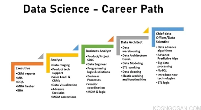 contoh career path data analyst