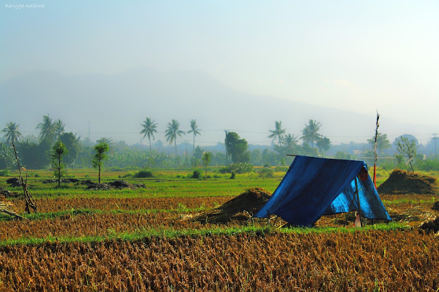 Tips Fotografi Lansekap yang baik