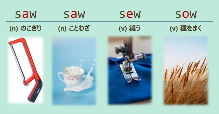 saw, sew, sow, スペルが似ている英単語