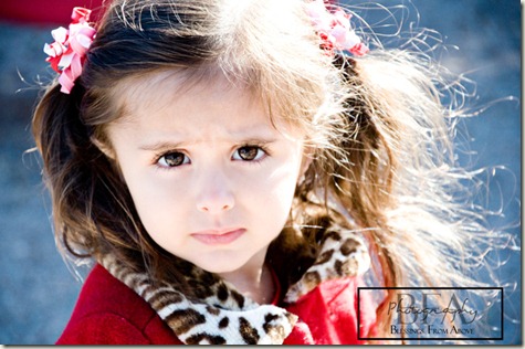 11302010_1web