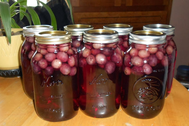 homemade grape juice