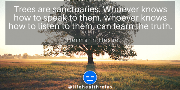 Hermann Hesse Quotes