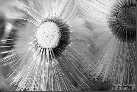 bw_20120504_youandme