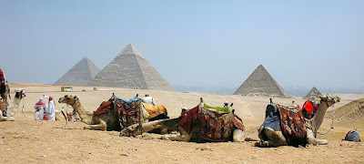 Egyptian Pyramids and camels