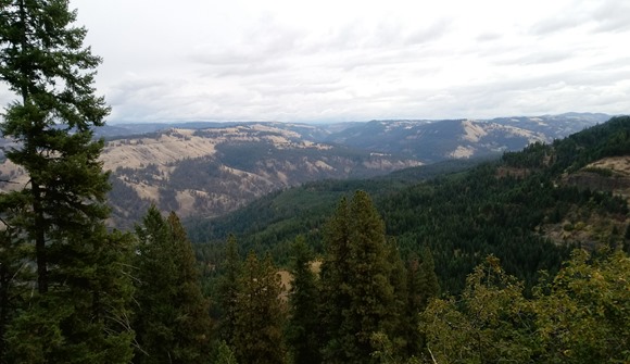 Orofino Panorama1