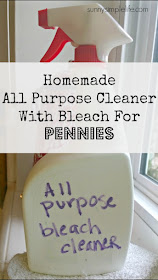 frugal cleaner, homemade bleach cleaning spray