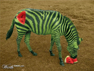 photoshop animal