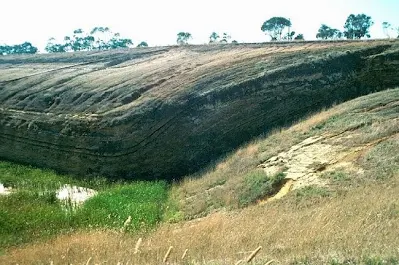 Monocline Fold - Types of Folds With Photos