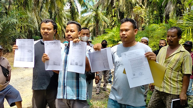 Teks foto: Kelompok Tani Gaharu Indah Desa Bukit Lembasa di areal perkebunan.