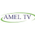 تردد قناة AMEL TV