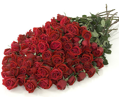 flowers,red flowers,red rose,roses