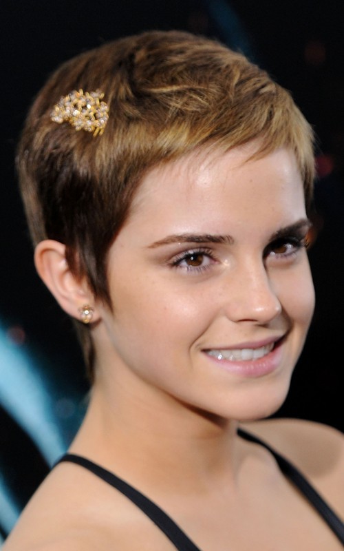 Emma Watson hit up the New York City premiere of Harry Potter And The 
