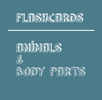 Animals Body Parts Flashcards