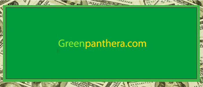 GreenPanthera, Encuestas todos los días