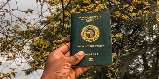 How To Check & Track Your Nigeria Passport