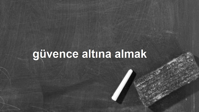 güvence altına almak