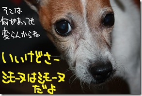 今日カズ１０１１０１　５
