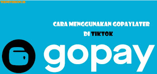 Inilah Cara Menggunakan GoPayLater di TikTok banyak promo dan gratis ongkir