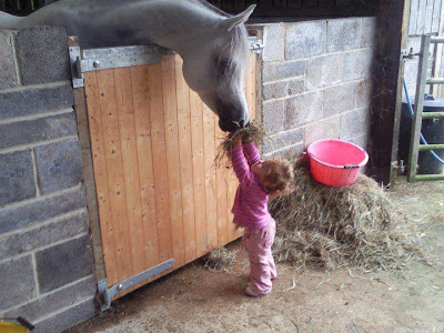 Lovely Baby girl Feeding Horse