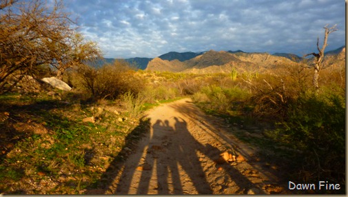 catalina shadows steve lena us_007