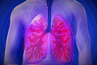 gambar kartun paru-paru manusia