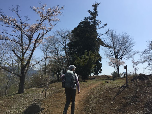 要害山の山頂