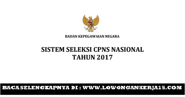 Alur Pendaftaran CPNS 2017 di sscn.bkn.go.id [Wajib Baca 