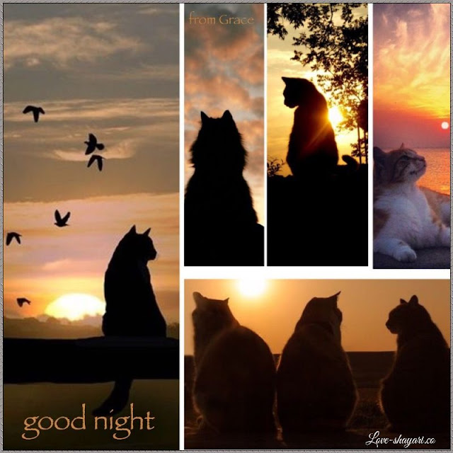 good night pictures images free download
