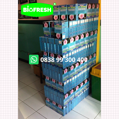 Bio Green Bubuk Bakteri