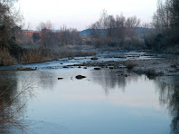 El riu Llobregat a prop de Navarcles