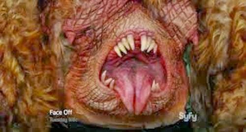 Face Off Recap Cryptic Creatures