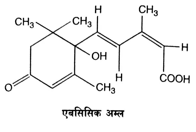 वृद्धिरोधक पदार्थ (Growth inhibitors) : परिचय, प्रकार|hindi