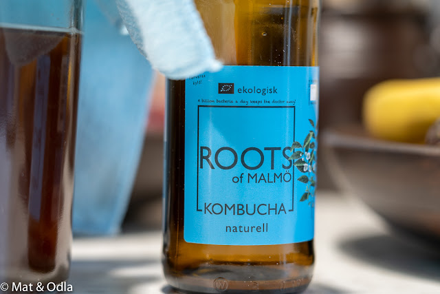 roots kombucha