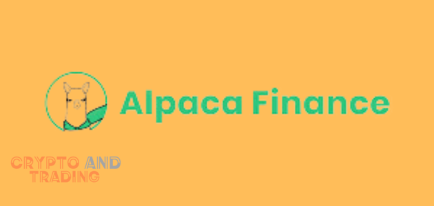 What is Alpaca Crypto with pros and cons?