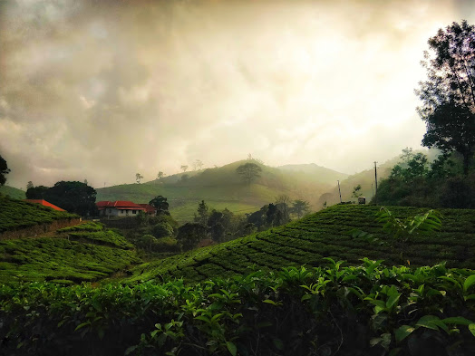 Kuttikkanam, Kerala, India