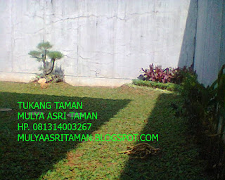 http://mulyaasritaman.blogspot.com/2015/08/jasa-tukang-bikin-taman-dengan-harga.html