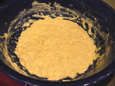 no-knead dough after initial mixing