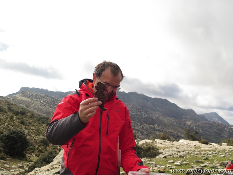 X Travesía del Jurásico (Torcal Bajo)