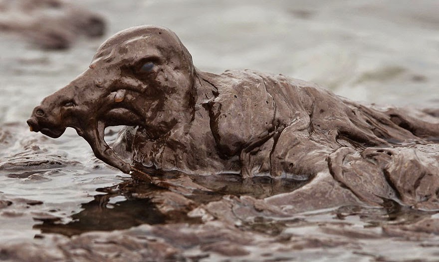 You Will Want To Recycle Everything After Seeing These Photos! - Bird In Oil Spill