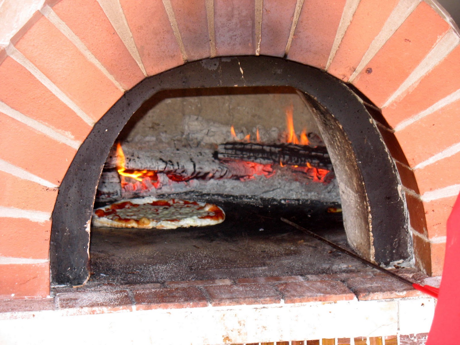 wood fired pizza oven reviews