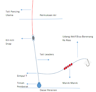ragkaian pancing ikan kakap putih, rangkaian pancing barramundi, ngoncer ikan kakap putih, rangkaian pancing dengan pelampung, cara mancing ikan barramundi