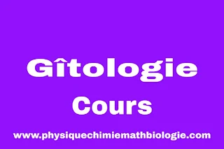 Cours de Gîtologie PDF