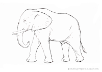 Free Real Adults Elephant Coloring Pages Drawing