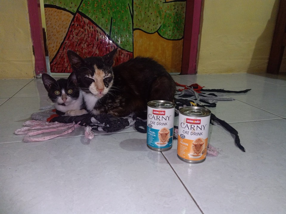 Animonda Carny Cat Drink, air minum kucing